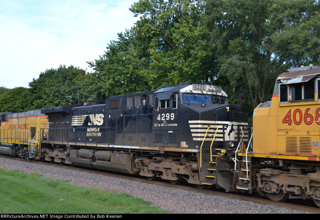 NS 4299